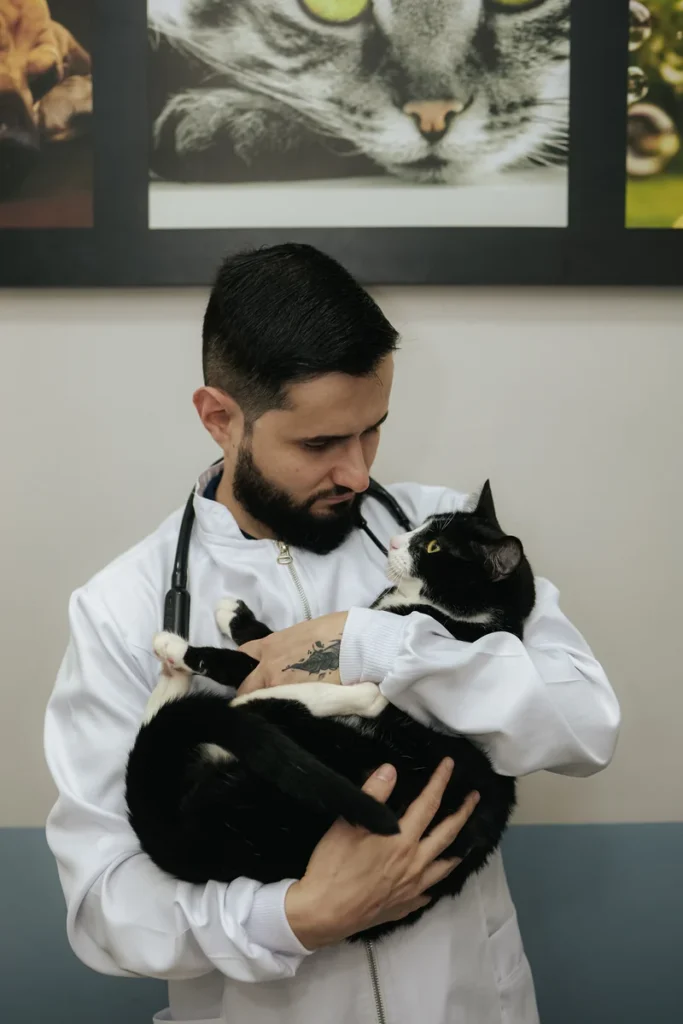 Dr. Guilherme Matteucci segurando um gato no colo após a consulta